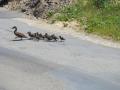 Trwa �adowanie zdj�cia...