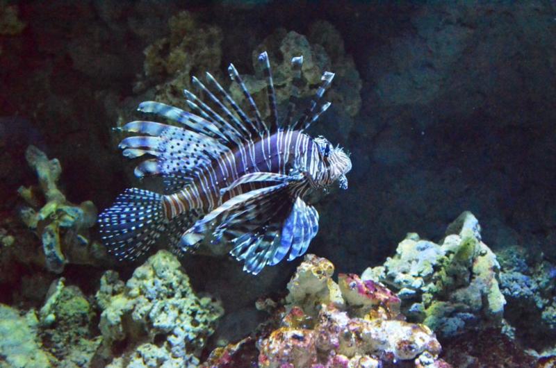 Trwa �adowanie zdj�cia...