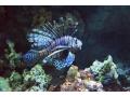 Trwa �adowanie zdj�cia...