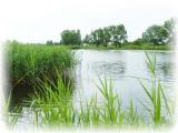 Trwa �adowanie zdj�cia...