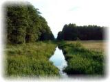 Trwa �adowanie zdj�cia...