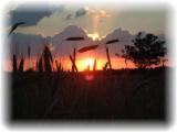 Trwa �adowanie zdj�cia...