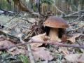 Trwa �adowanie zdj�cia...