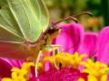 Trwa �adowanie zdj�cia...