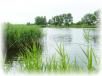 Trwa �adowanie zdj�cia...