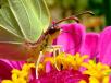 Trwa �adowanie zdj�cia...