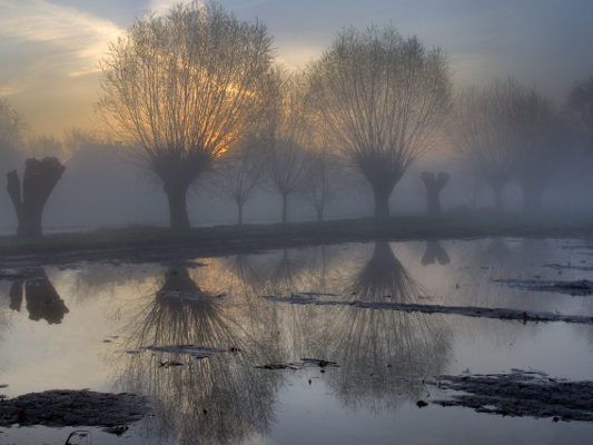 Trwa �adowanie zdj�cia...