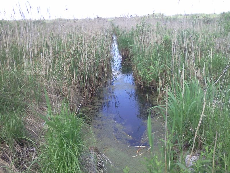 Trwa �adowanie zdj�cia...