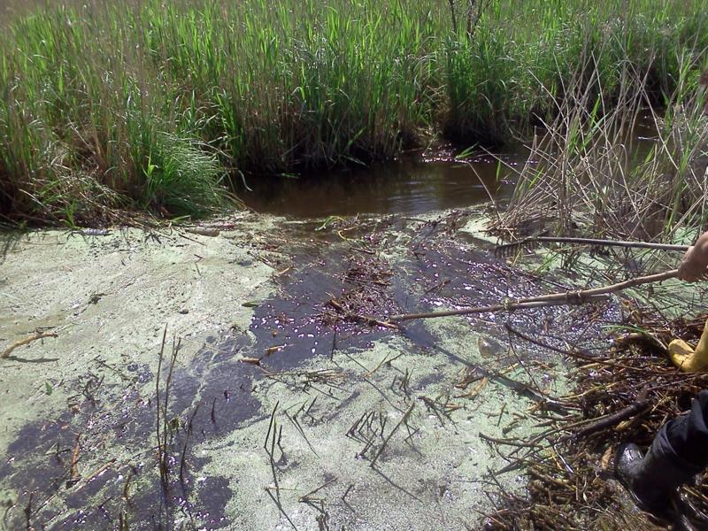 Trwa �adowanie zdj�cia...