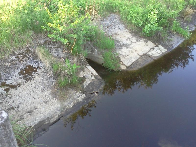 Trwa �adowanie zdj�cia...