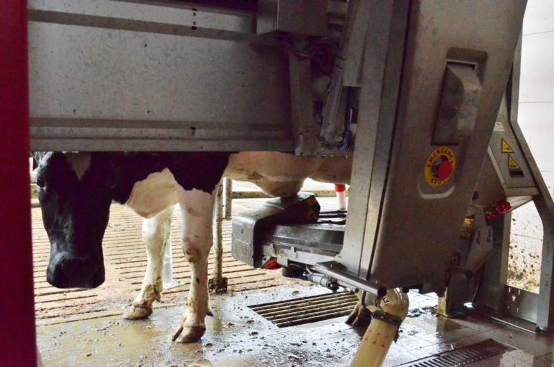 Trwa �adowanie zdj�cia...