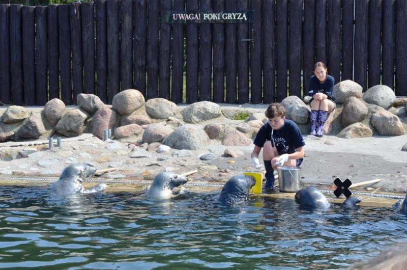 Trwa �adowanie zdj�cia...