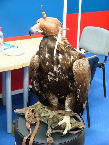 Trwa �adowanie zdj�cia...