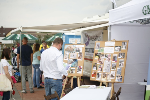 Trwa �adowanie zdj�cia...