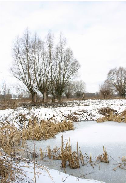 Trwa �adowanie zdj�cia...