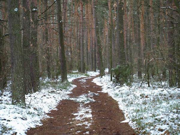 Trwa �adowanie zdj�cia...