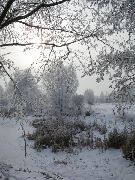 Trwa �adowanie zdj�cia...