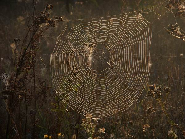 Trwa �adowanie zdj�cia...