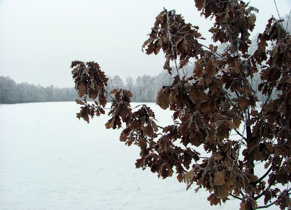 Trwa �adowanie zdj�cia...