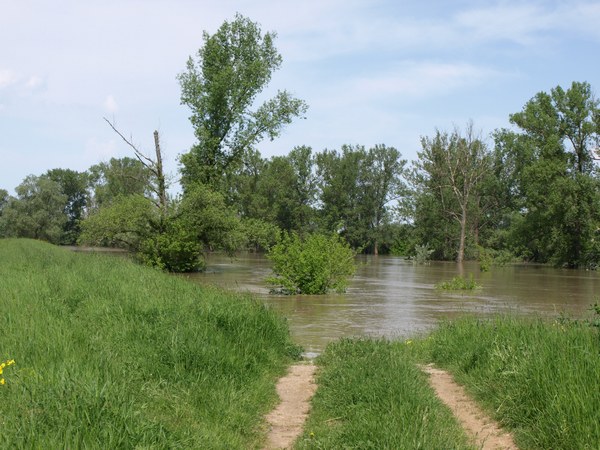 Trwa �adowanie zdj�cia...