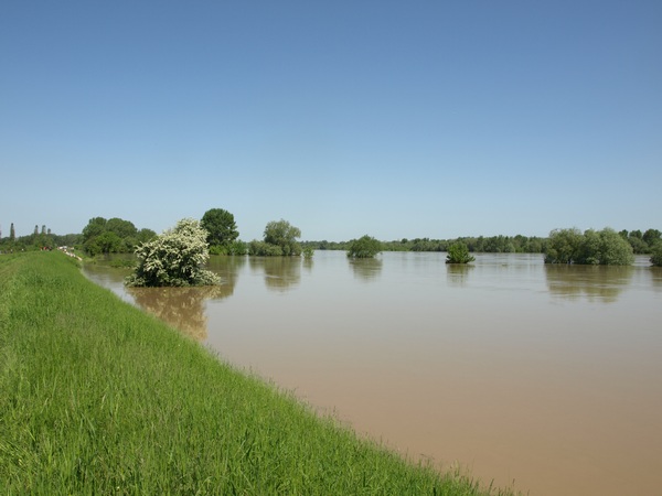 Trwa �adowanie zdj�cia...