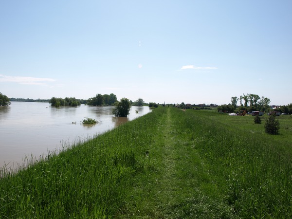 Trwa �adowanie zdj�cia...