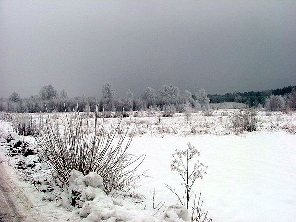 Trwa �adowanie zdj�cia...