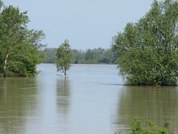 Trwa �adowanie zdj�cia...