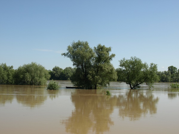 Trwa �adowanie zdj�cia...