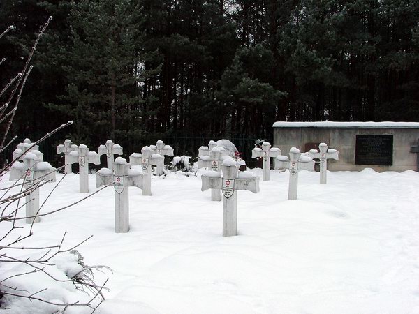 Trwa �adowanie zdj�cia...