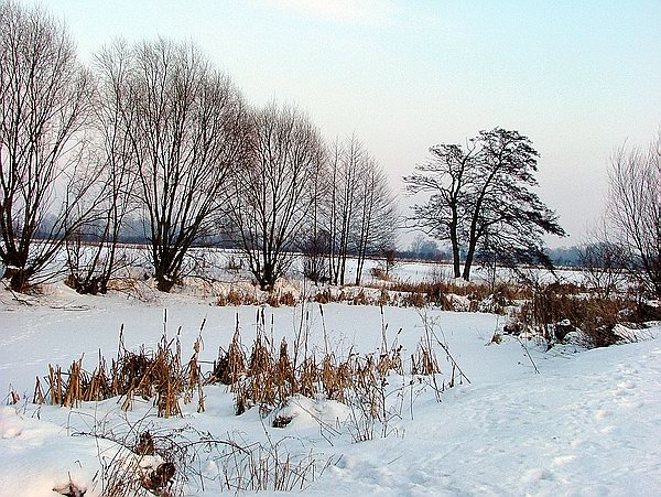 Trwa �adowanie zdj�cia...