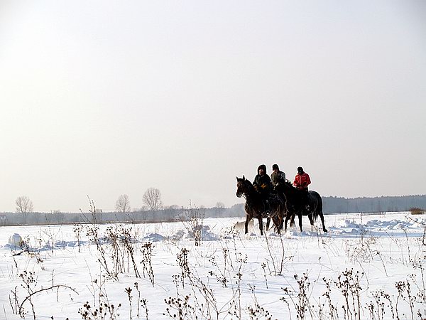 Trwa �adowanie zdj�cia...