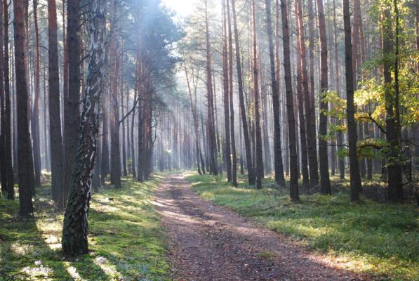 Trwa �adowanie zdj�cia...