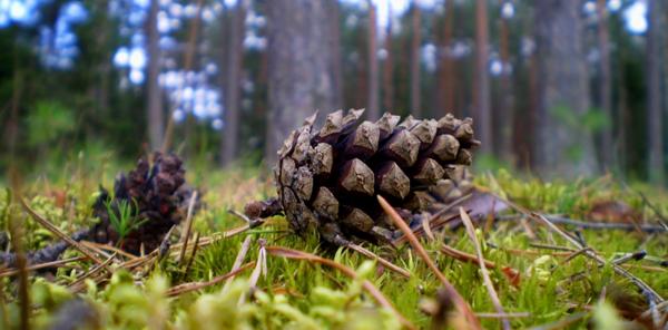 Trwa �adowanie zdj�cia...