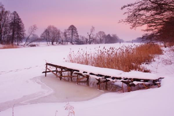 Trwa �adowanie zdj�cia...