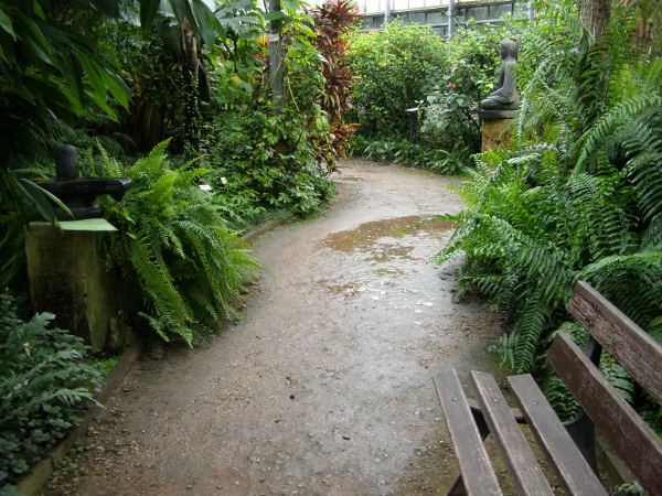 Trwa �adowanie zdj�cia...