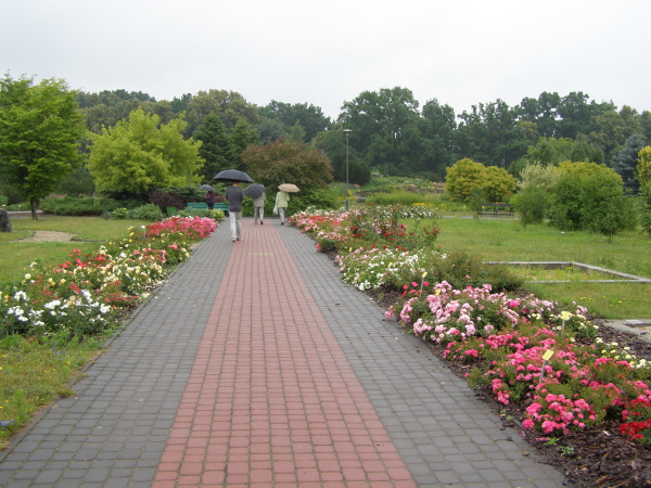 Trwa �adowanie zdj�cia...